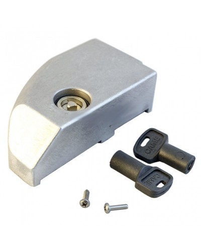 Дверца замка разблокировки BK Came 119RIBK012 в Ставрополе Запчасти для шлагбаумов и автоматики Pintop.ru