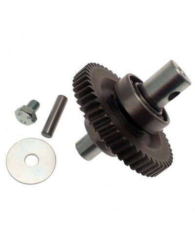 Шестерня редуктора FAST в сборе Came 119RID229 в Ставрополе Запчасти для шлагбаумов и автоматики Pintop.ru