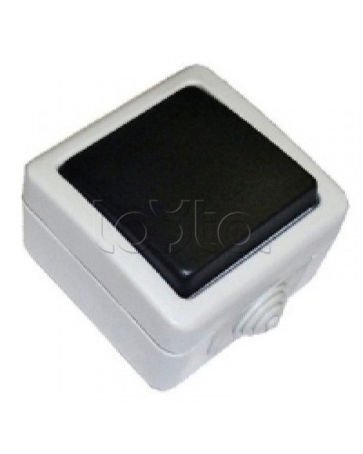 Экопласт EF600SD Выключатель одноклавишый с самовозвратом (кнопка),10A (сер.) в Ставрополе Розетки компьютерные и телефонные Pintop.ru