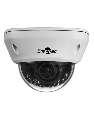 IP-камера видеонаблюдения купольная Smartec STC-IPM5591/1 в Ставрополе IP-камеры Pintop.ru