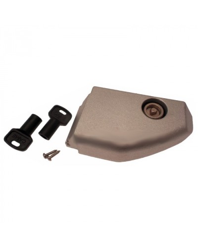 Дверца разблокировки с замком BX Came 119RIBX008 в Ставрополе Запчасти для шлагбаумов и автоматики Pintop.ru