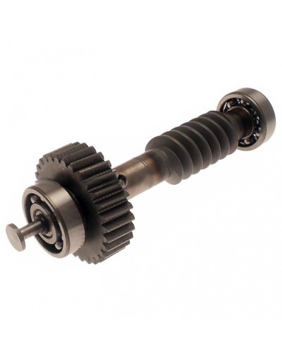 Червяк редуктора FAST в сборе Came 119RID228 в Ставрополе Запчасти для шлагбаумов и автоматики Pintop.ru