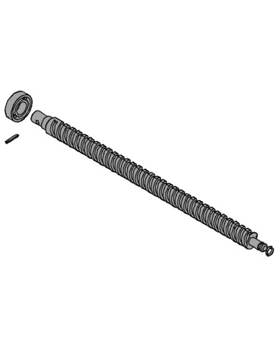 Винт ходовой AX302304, AX3024, АХ402306, AX412306 Came 119RID319 в Ставрополе Запчасти для шлагбаумов и автоматики Pintop.ru