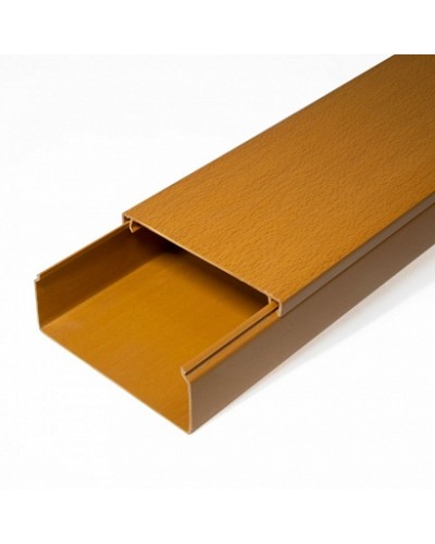 Кабель-канал бук 2-й замок в п/э 100х40 (8 м/уп) Промрукав (PR03.0206) в Ставрополе Огнестойкие кабельные линии Pintop.ru