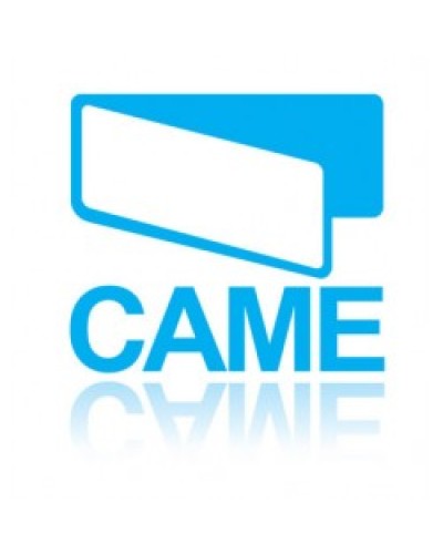 Конденсатор 31 MKF Came 119RIR299 в Ставрополе Запчасти для шлагбаумов и автоматики Pintop.ru