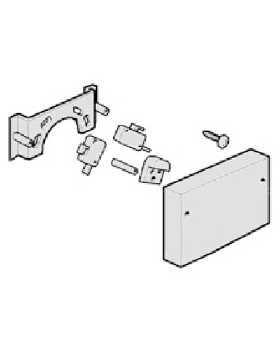 Микровыключатели G4000, G3750 Came 119RIG040 в Ставрополе Запчасти для шлагбаумов и автоматики Pintop.ru