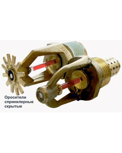 Ороситель спринклерный скрытый Спецавтоматика СВК0-РНо 0,42-R1/2/Р57.В3-SSP-К80  с резьб. герм. в Ставрополе Оросители Pintop.ru