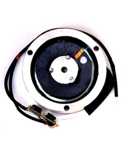 Электромагнит BY1500T Came 119RIY034 в Ставрополе Запчасти для шлагбаумов и автоматики Pintop.ru