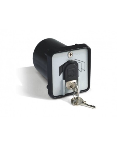 Ключ-выключатель с защитой цилиндра, встраиваемый Came 001SET-K в Ставрополе Запчасти для шлагбаумов и автоматики Pintop.ru