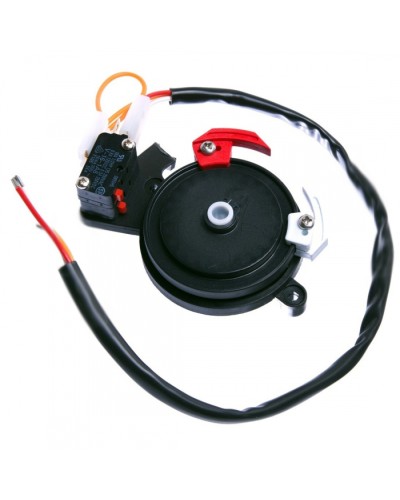 Концевые микровыключатели в сборе BX-243 Came 119RIBX041 в Ставрополе Запчасти для шлагбаумов и автоматики Pintop.ru