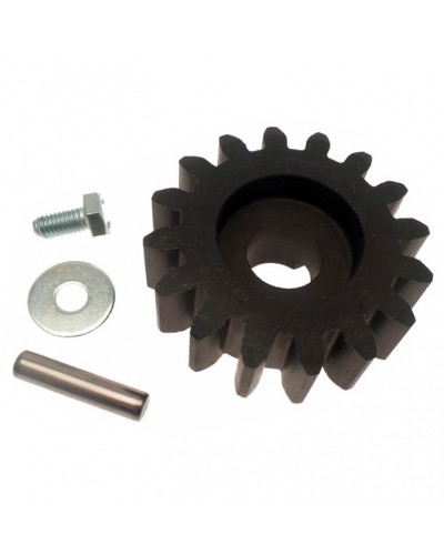 Шестерня ведущая BZ Came 119RIBZ005 в Ставрополе Запчасти для шлагбаумов и автоматики Pintop.ru