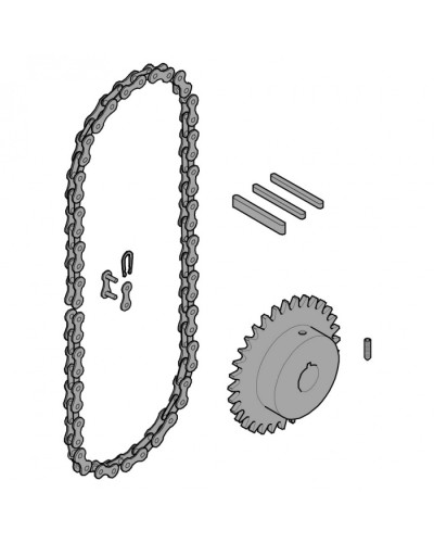 Передающая система (цепь и звездочки) C005 Came 119RICX016 в Ставрополе Запчасти для шлагбаумов и автоматики Pintop.ru