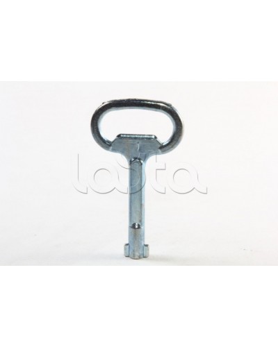 Металлический ключ с двойной бородкой 3мм DKC R5CE230 в Ставрополе Крепежные изделия Pintop.ru