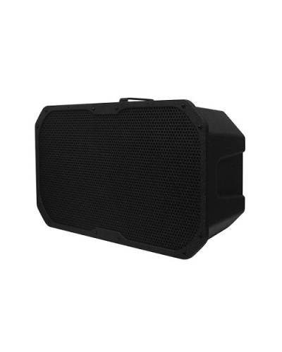 Акустическое устройство DSPPA LRAS-1830 в Ставрополе Система оповещения и трансляции Dsppa Pintop.ru