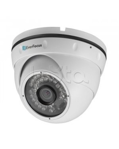 IP-камера видеонаблюдения купольная EverFocus ACE-IAV30 в Ставрополе IP-камеры Pintop.ru