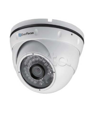 IP-камера видеонаблюдения уличная купольная EverFocus EBN-268 в Ставрополе IP-камеры Pintop.ru