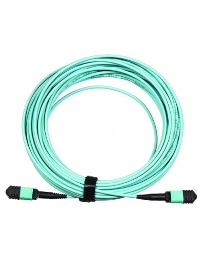 Сборка кабельная LANMASTER (LAN-12M-12M/OM3B-15) в Ставрополе Коннекторы Pintop.ru