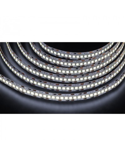 Лента светодиодная Navigator 14 459 NLS-2835CW240-24-IP20-12V в Ставрополе Источники света(Лампы) Pintop.ru