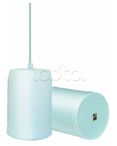 Громкоговоритель встраиваемый ROXTON SP-20T в Ставрополе Система оповещения и трансляции Roxton Pintop.ru