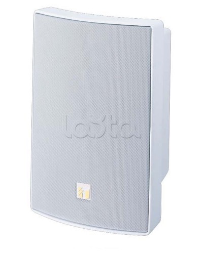 Громкоговоритель универсальный двухполосный TOA BS-1030W в Ставрополе Системы оповещения и трансляции TOA Pintop.ru