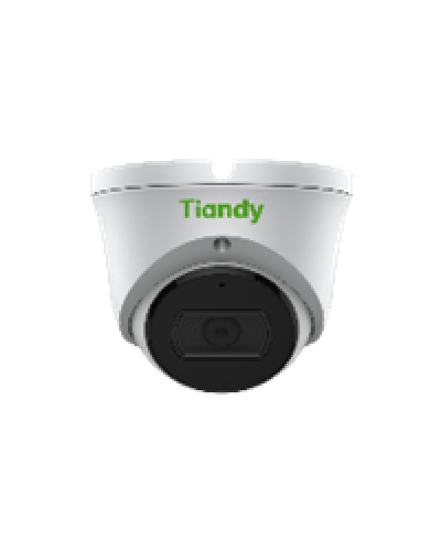 Уличная купольная IP-камера Tiandy TC-C35XS Spec:I3/E/Y/M/2.8mm/V4.0 в Ставрополе IP-камеры Pintop.ru