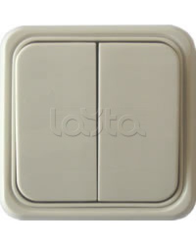 Выключатель двухклавишный открытой установки Экопласт, схема 5, (бежевый) в Ставрополе Розетки компьютерные и телефонные Pintop.ru