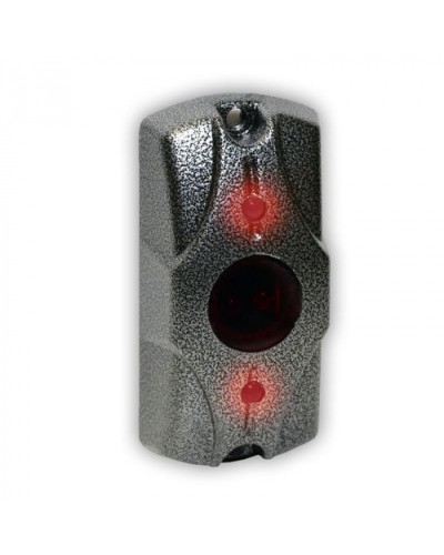 Олевс ЦИКЛОП ИК серебряный антик в Ставрополе Электромагнитные замки Pintop.ru