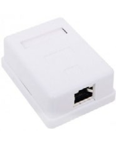 Розетка компьютерная RJ-45 (8P8C), категория 6, одинарная, внешняя (настенная), Dual IDC, белая в Ставрополе Розетки компьютерные и телефонные Pintop.ru