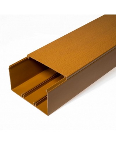 Кабель-канал бук 2-й замок 100х60 (16м/уп) Промрукав (PR.025447) в Ставрополе Огнестойкие кабельные линии Pintop.ru