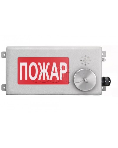 Табло светозвуковое взрывозащищенное Спектрон ТСЗВ-Exm-Н-Прометей-МИНИ 220В в Ставрополе Оповещатели Ex Pintop.ru