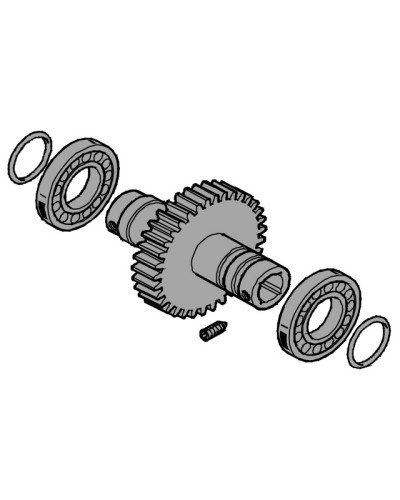 Вал выходной EMEGA Came 119RIE062 в Ставрополе Запчасти для шлагбаумов и автоматики Pintop.ru