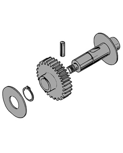 Вал в сборе C100 Came 119RIC011 в Ставрополе Запчасти для шлагбаумов и автоматики Pintop.ru