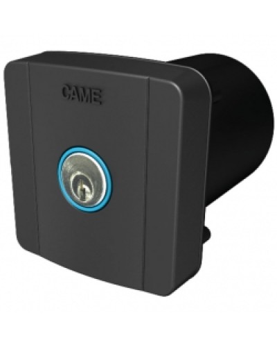 Ключ-выключатель встраиваемый Came 806SL-0020 в Ставрополе Запчасти для шлагбаумов и автоматики Pintop.ru