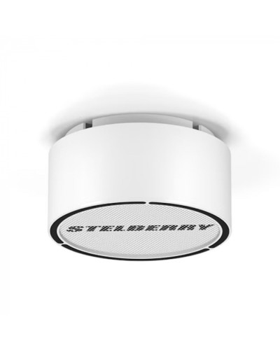 Громкоговоритель STELBERRY F-306W в Ставрополе Акустические системы Pintop.ru