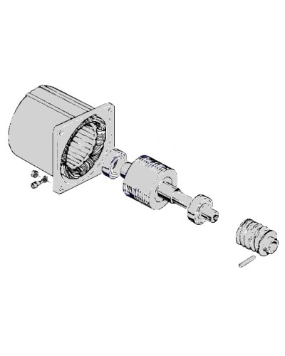 Электродвигатель С-100 Came 119RIC052 в Ставрополе Запчасти для шлагбаумов и автоматики Pintop.ru